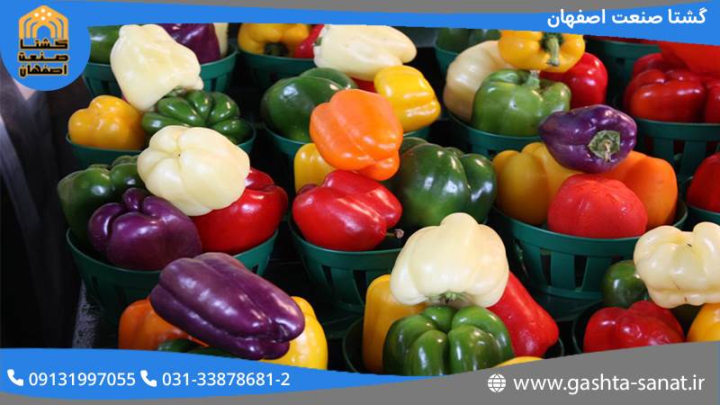 قیمت و توجیه اقتصادی دستگاه بسته بندی فلفل دلمه ای