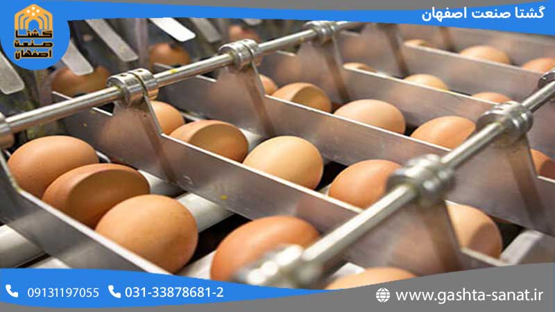 دستگاه های مورد استفاده برای بسته بندی تخم مرغ