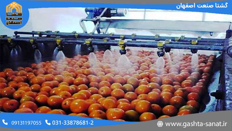 مشخصات دستگاه شستشو میوه و سبزی